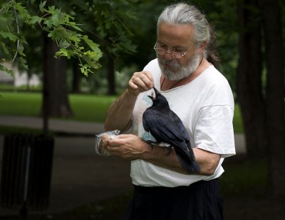 oiseaux