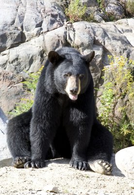 ours