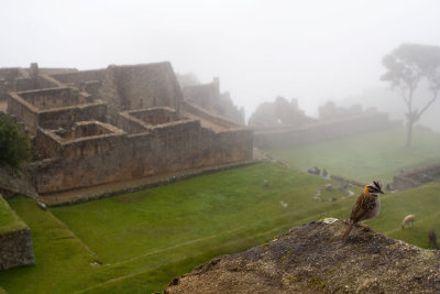 Inca Trail Perou