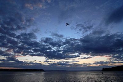 4 AM at Coupeville Wharf - III