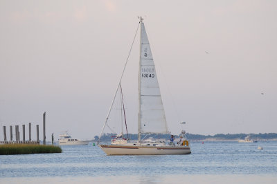 SailBoatAwww.jpg