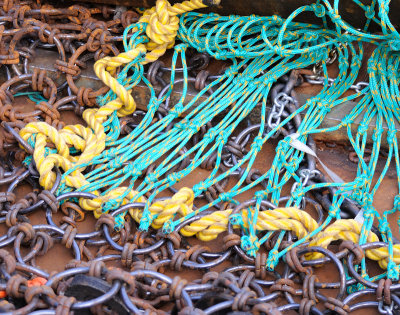 Ropeswww.jpg