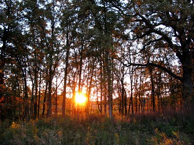 Lake County Forest Preserves