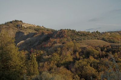 From Mount Oliveto Abbey