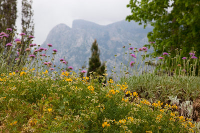 096-Soller.jpg