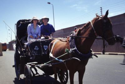 g4/13/583113/3/59559374.Edfuhorsecarriage.jpg
