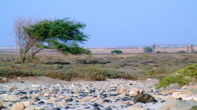 Sal Sep'2005