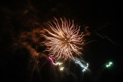 DSC_1887.JPG