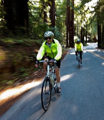 Moving Through the Redwoods IMG_0783.jpg