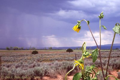 Durango Century  --  Rain Coming