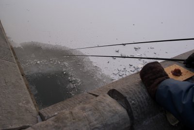 IMGP9635_1024.jpg