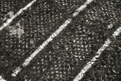 Shadows on the Playground