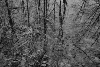 Reflections
