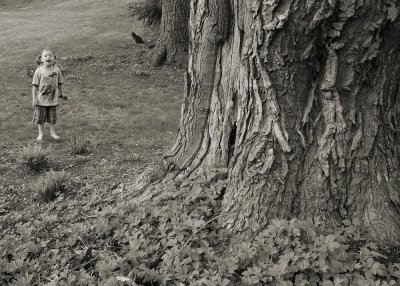 Maple tree and child