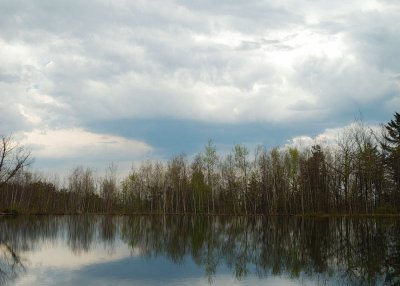 Reflections