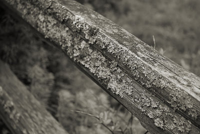Fence