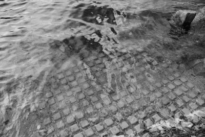 The waters edge