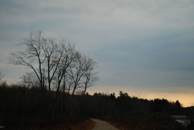 Warm winter day