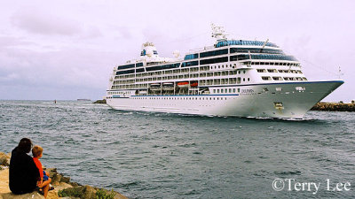 Delphin Renaissance 35.jpg
