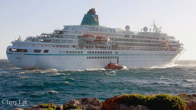 Amadea 4.jpg