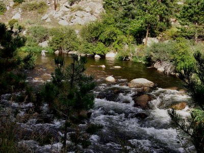 Along the Big Thompson in Co  pw.jpg