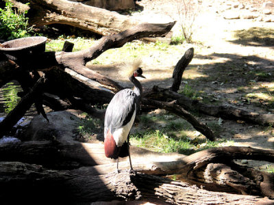 At the zoo   pw.jpg