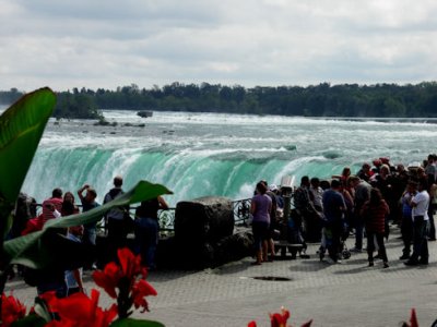 Top of the Falls   pw.jpg
