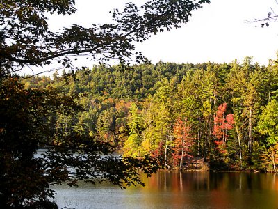 Leaf peeping in Vermont wasn't that great when we were there.jpg