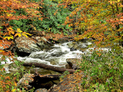 Colorful Smoky Mountain Stream.jpg