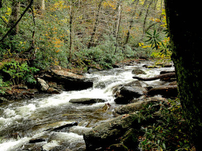 River in the Great Smoky Mountains.jpg
