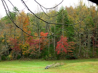 Great Smoky Mtn's N.P.3   pw.jpg