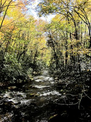 Smoky Mtn's2   pw.jpg