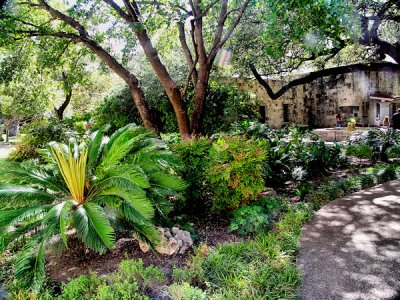 Garden at the Alamo.jpg