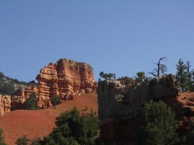 PICT5396.JPG