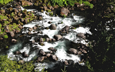 Creek near Prospect, Oregon