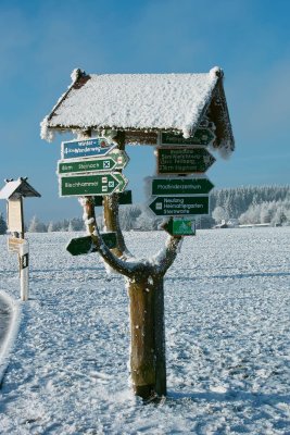 SDIM0053.jpg