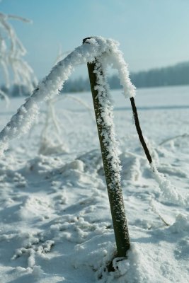 SDIM0090.jpg