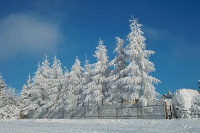 SDIM0094.jpg