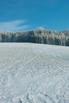 SDIM0140.jpg