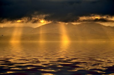 Arran Sunbeams