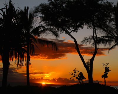 Maui Sunset