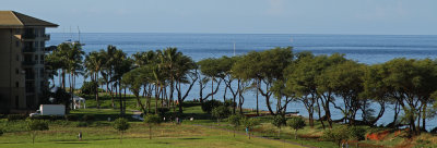 View from Condo