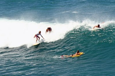 Surf Paia Maui