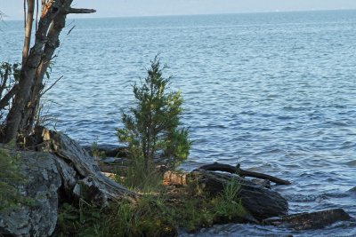 Lake view