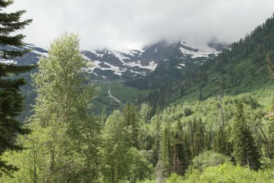 Glacier Park