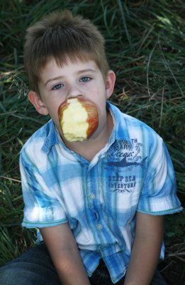 Minnesota Harvest 2011