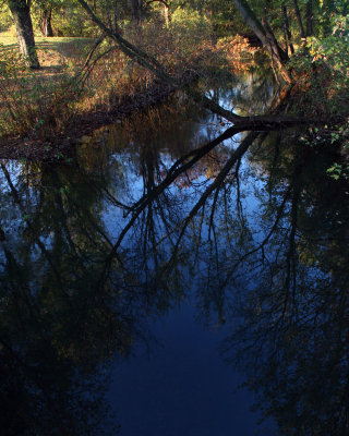 Vermillion River Trout Stream