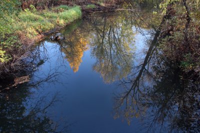 Vermillion River Trout Stream