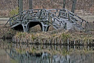 Carleton College Cowling Arboretum