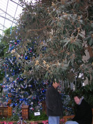 US Botanic Garden Dec2007